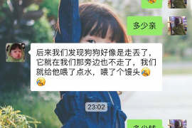 赵县融资清欠服务